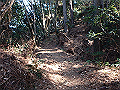 bizan1425_thumb.png