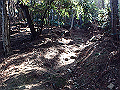bizan1426_thumb.png