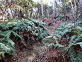 bizan1427_thumb.png