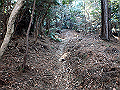 bizan1430_thumb.png