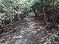 bizan1437_thumb.png