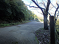 bizan15_thumb.png