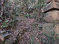 bizan08_thumb.png