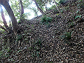bizan13_thumb.png