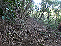 bizan55_thumb.png