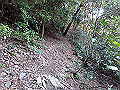 bizan64_thumb.png