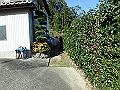 bizan023_thumb.png