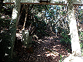 bizan026_thumb.png