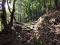 bizan029_thumb.png