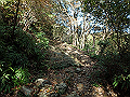 bizan031_thumb.png