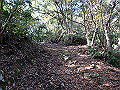 bizan032_thumb.png