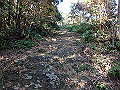 bizan035_thumb.png