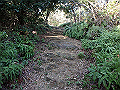 bizan036_thumb.png