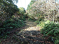 bizan037_thumb.png