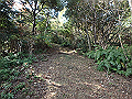 bizan038_thumb.png