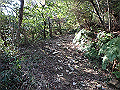 bizan040_thumb.png