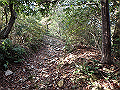 bizan041_thumb.png