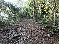 bizan042_thumb.png