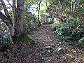 bizan043_thumb.png