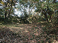 bizan045_thumb.png