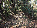 bizan049_thumb.png