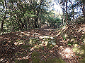 bizan051_thumb.png