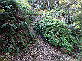 bizan060_thumb.png
