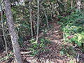 bizan061_thumb.png