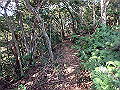 bizan062_thumb.png