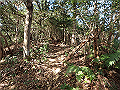 bizan063_thumb.png