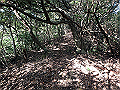 bizan064_thumb.png