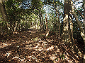 bizan066_thumb.png