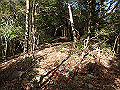 bizan067_thumb.png