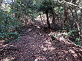 bizan069_thumb.png