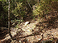 bizan070_thumb.png