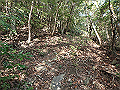 bizan071_thumb.png