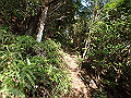bizan072_thumb.png