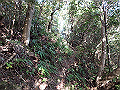 bizan073_thumb.png