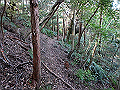 bizan075_thumb.png