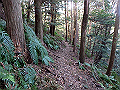 bizan076_thumb.png