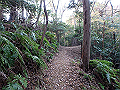 bizan077_thumb.png
