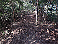 bizan078_thumb.png