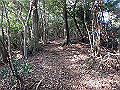 bizan079_thumb.png