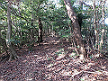 bizan080_thumb.png