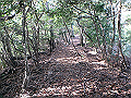 bizan081_thumb.png
