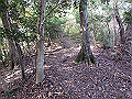 bizan082_thumb.png