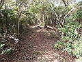 bizan083_thumb.png