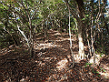 bizan084_thumb.png