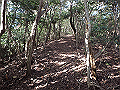 bizan088_thumb.png