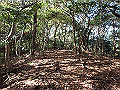 bizan090_thumb.png